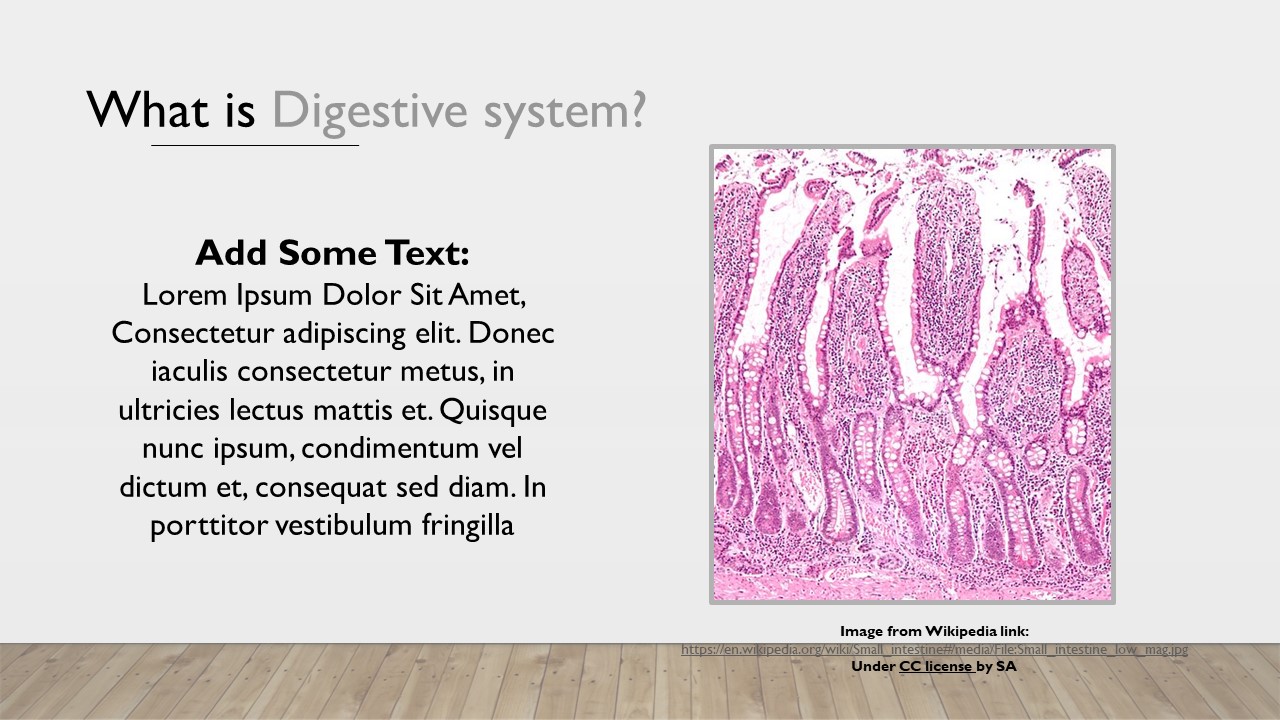 Free Digestion Absorption Powerpoint Template Myfreeslides
