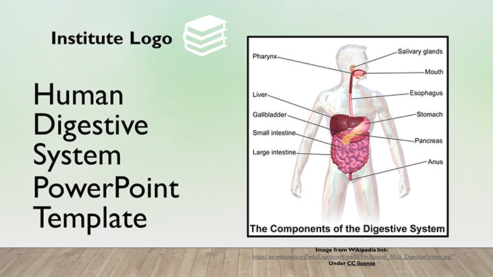 free-digestion-absorption-google-slides-themes-ppt-template